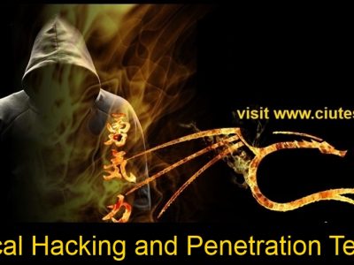 Certificate In Ethical Hacking & Pentesting