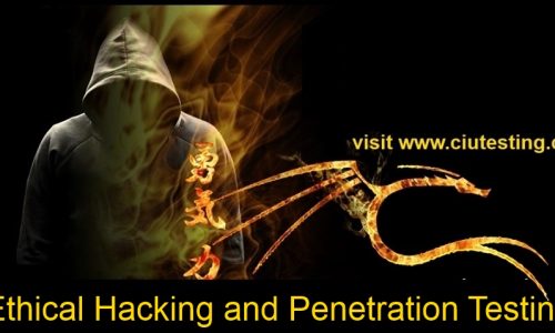 Ethical Hacking And Penetration Testing